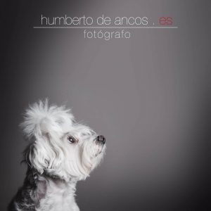 Humberto de Ancos, fotógrafo profesional, Toledo, fotografo de bodas Toledo, fotógrafo de comuniones Toledo, fotógrafo de eventos Toledo