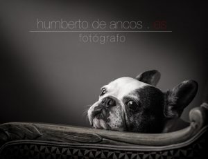 Humberto de Ancos, fotógrafo profesional, Toledo, fotografo de bodas Toledo, fotógrafo de comuniones Toledo, fotógrafo de eventos Toledo