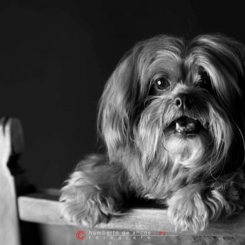 Fotografía de Estudio, Tuca